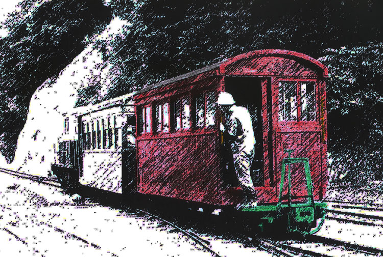 【木曽森林鉄道】Ｃ型客車 トーマモデル 木曽森林 鉄道 C型 客車 プラキット 組み立て品 - サロン